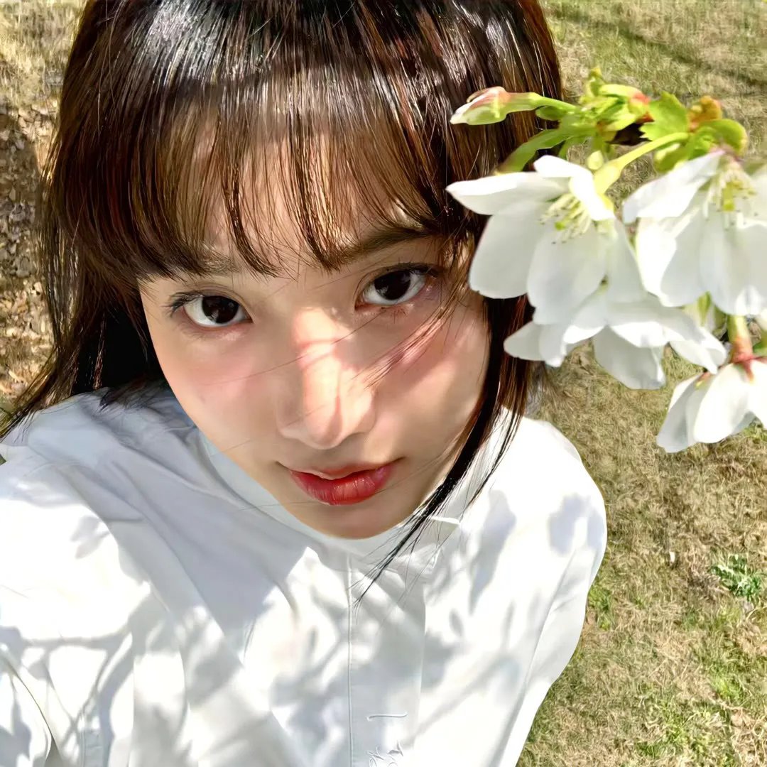 泡芙小姐第二季